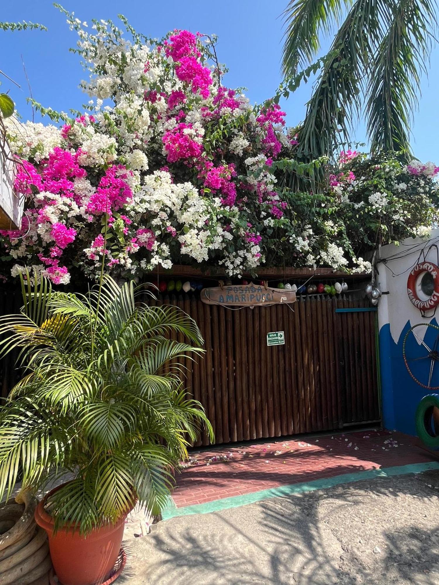 Posada Amaripucci San Andrés Extérieur photo